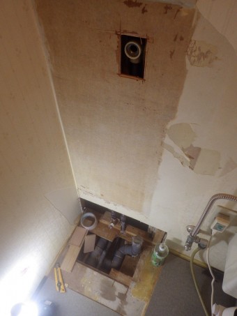 IMGP4298-e1717394718513